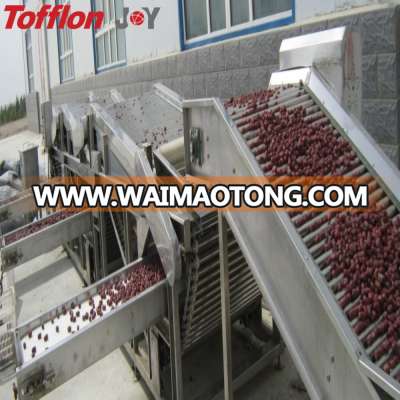 Complete Set Dates/Jujube Fruit Production Line