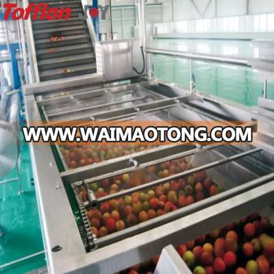 Complete Peach Fruit Juice Beverage Production Line